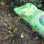 Gødning i efteråret: sådan giver du haven et sundt forspring