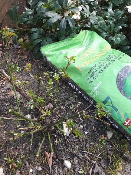 Gødning i efteråret: sådan giver du haven et sundt forspring